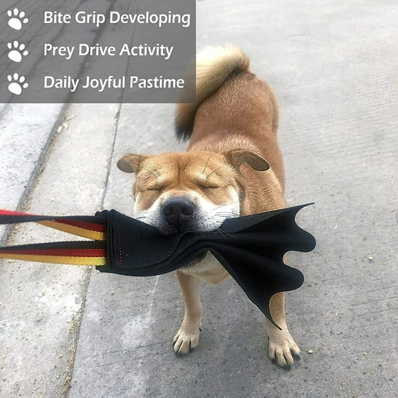 Elowen Puppy Bite Rag Tug Of War Toy, Interactive Puppy Bite Rag with Handle for Small Medium Large Dogs