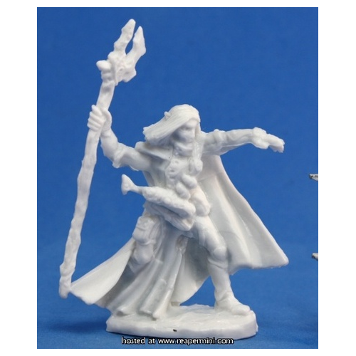 Elquin, High Elf Adventurer (1) Miniature REM77092 Reaper