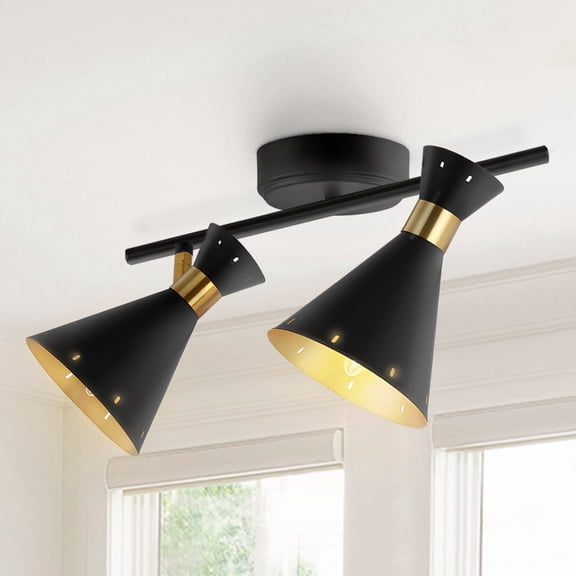 Elroy 18.25" 2-Light Iron Retro Contemporary LED Track Light , Black/Gold