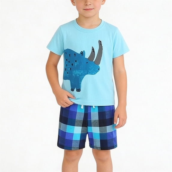 Eltusu Boys Cotton Outfit Sets, Short Sleeve Graphic Elastic Waist Crew Neck T-Shirts & Shorts Sets Blue Size 7-8 T