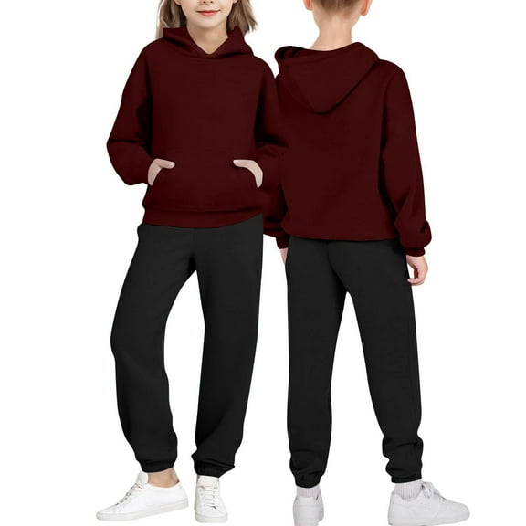 Eltusu Girls Outfit Sets, 2 Pieces Casual Long Sleeve Relaxed Fit Hoodies and Sweatpants Wine Size 2-3 T