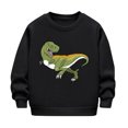 thumbnail image 1 of Eltusu Little Boys Pullover Sweatshirts, Loose Crewneck Casual Long Sleeve Spring Fall Tops Black Size 6-7 T, 1 of 2
