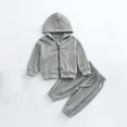 thumbnail image 1 of Eltusu Toddler Boys Outfit Sets 2 Pieces, Cotton Long Sleeve Zipper Hoodies and Sweatpants Set Gray Size 2-3 T, 1 of 3