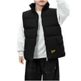thumbnail image 1 of Eltusu Toddler Boys Puffer Vests, Windproof Warm Sleeveless Full Zip Winter Jackets Black Size 4-5 T, 1 of 5