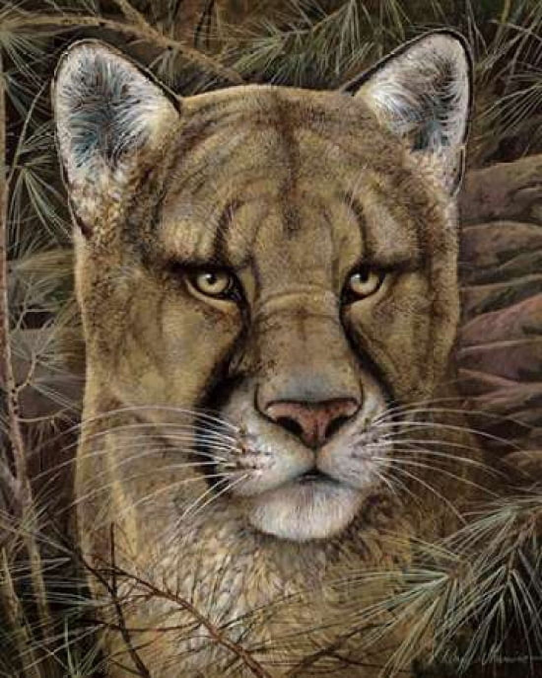 Elusive Encounter Canvas Art - Ruane Manning (24 x 30)