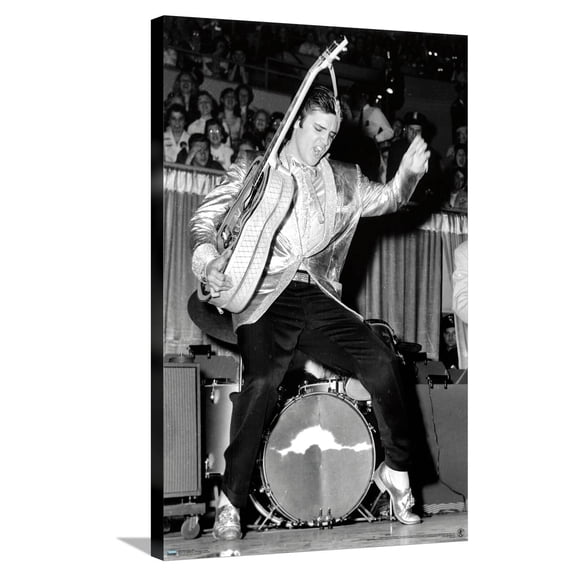 Elvis Presley - Hips Canvas Wall Poster, 22.375" x 34"