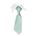 thumbnail image 1 of Elvqul Formal Tie for Men Business Party Plain Club Mint Green Necktie, 1 of 2