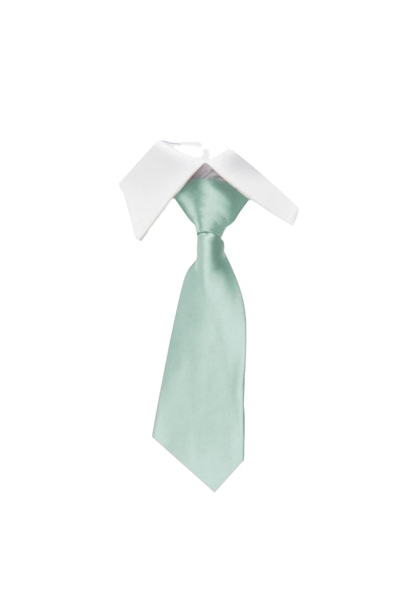 Formal Tie for Men Business Party Plain Club Mint Green Necktie