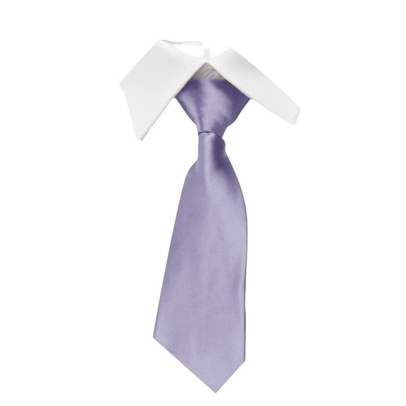 Elvqul Mens Club Tie Business Formal Solid Color Purple Wedding Necktie