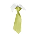 thumbnail image 1 of Elvqul Necktie for Men Solid Green Wedding Party Business Formal Tie, 1 of 2