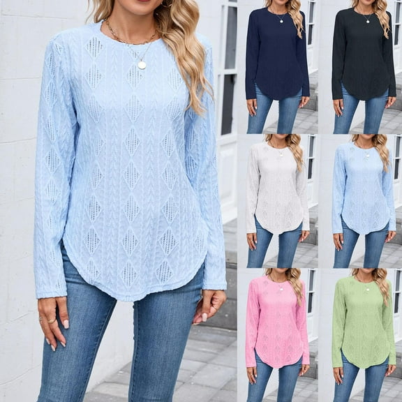Elvqul Pullover Blouses for Women Crew Neck Blouse Light Blue Long Sleeve Fanshion Solid Color Womens Shirt Casual