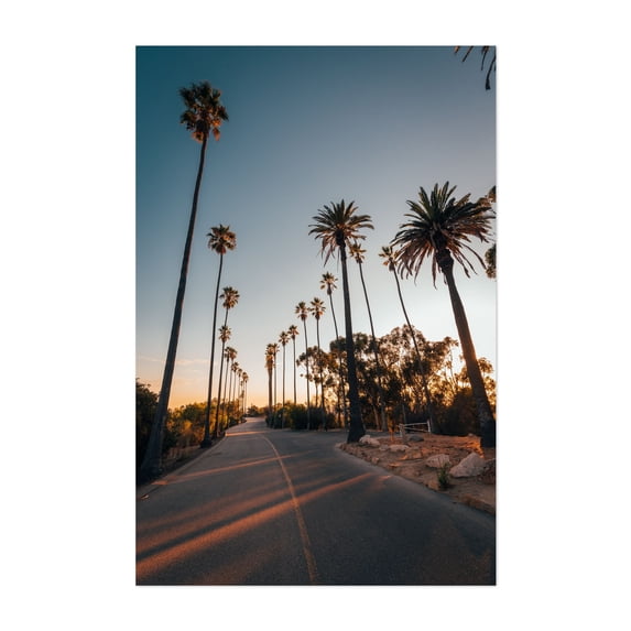 Elysian Park Palms - California Photography Palm Tree Sunset Tropical ...