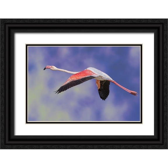 Eman Elghazzawy, Dr. 14x11 Black Ornate Wood Framed with Double Matting Museum Art Print Titled - Freedom