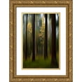 thumbnail image 1 of Emanuelson, Bjorn 13x18 Gold Ornate Wood Framed with Double Matting Museum Art Print Titled - Autumn Leaves, 1 of 4