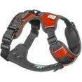 thumbnail image 1 of Adventure No Pull Dog Harness | Medium/ Orange, 1 of 3