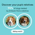 Embark Breed Identification Kit Most Accurate Dog DNA Test Test 350