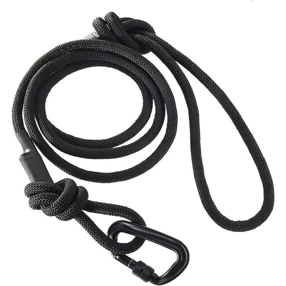 Adventure Pro Leash Climbing Rope and Carabiner Dog Leash | 6ft / Black