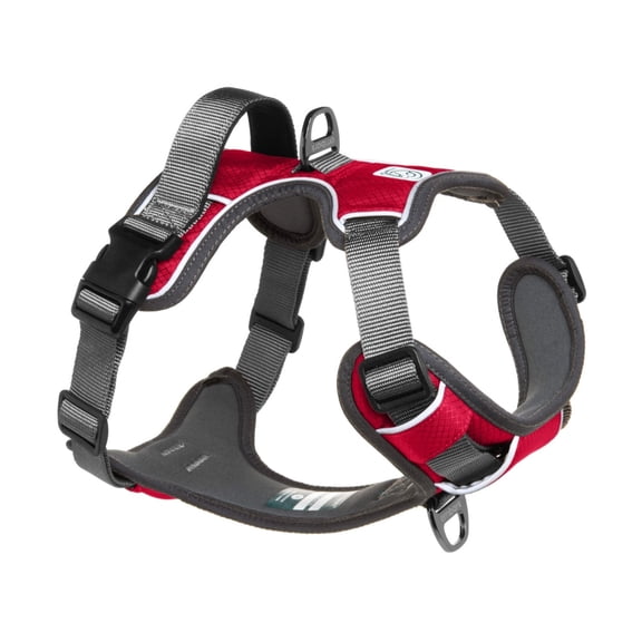 Adventure No-pull Harness
