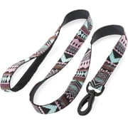 Embark Urban Dog Leashes - Colorful, Strong and Sturdy Dog Leash for Small, Medium and Large Breed Dogs Aztec, 4 Ft