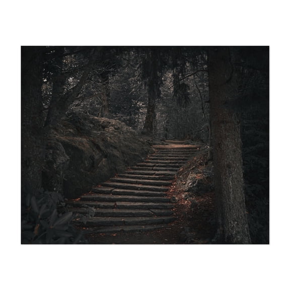 Embark to Your Unknown - Canton North Carolina Photography Forest Woods Moody Mystical Autumn Nature Unframed Wall Art Print 6 x 8 inches