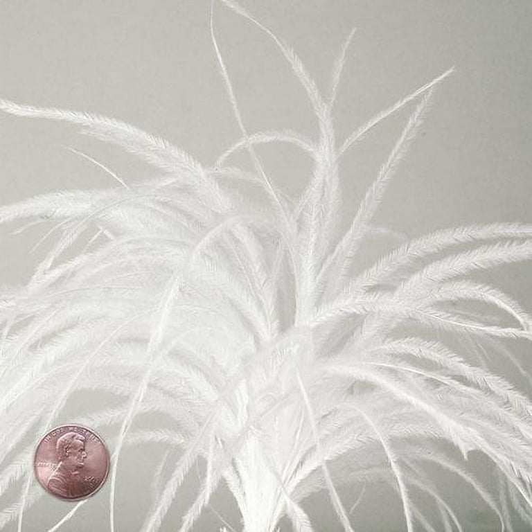 10Pcs/Lot 30-35cm Ostrich Feathers for Crafts White Feathers for