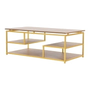 Ember Interiors Modern Wood and Metal Multi-Tiered Coffee Table, Natural/Gold