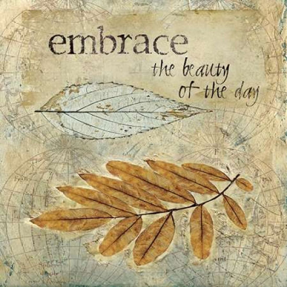 Embrace Canvas Art - Carol Robinson (24 x 24)