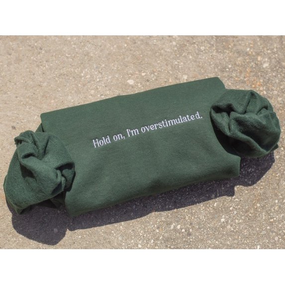 Embroidered Overstimulated Sweatshirt
