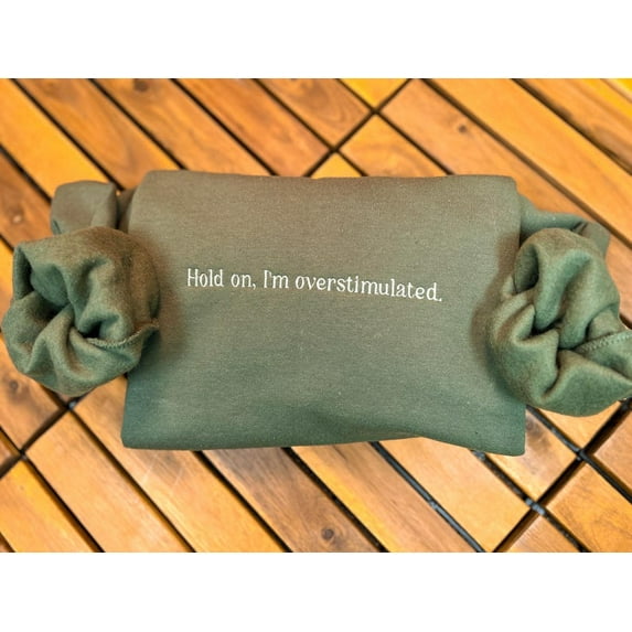 Embroidered Overstimulated Sweatshirt
