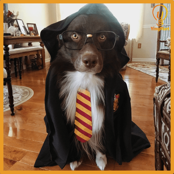 Embroidered Pet Cloak Cat Dog Costume Wizard Cape Halloween Cosplay Outfit YingMart Clothes (Snake, M(4-7.5kg))