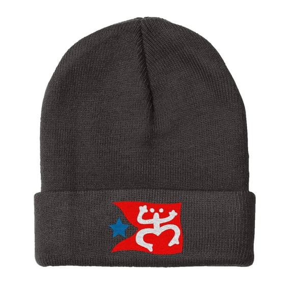 Embroidered Puerto Rican FLAG with Taino Frog Logo Hat-EM-0034-Black