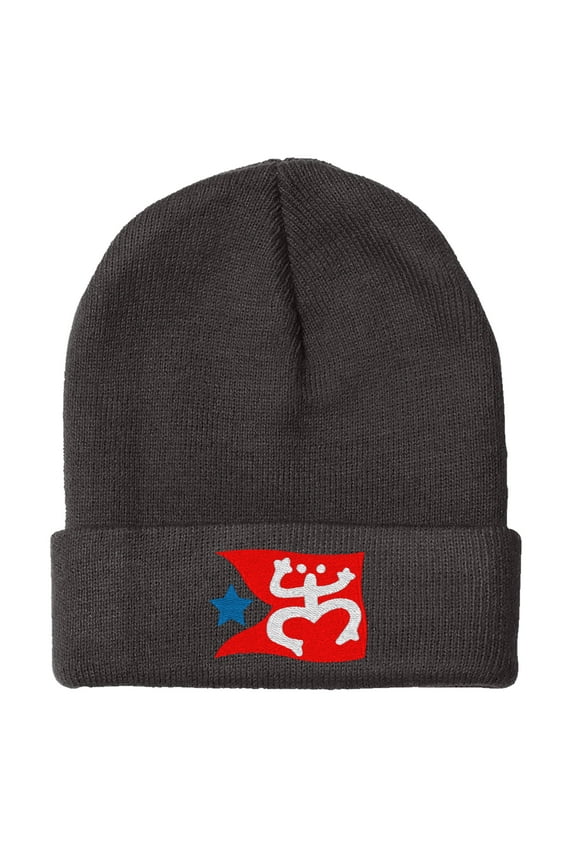 Embroidered Puerto Rican FLAG with Taino Frog Logo Hat-EM-0034-Black