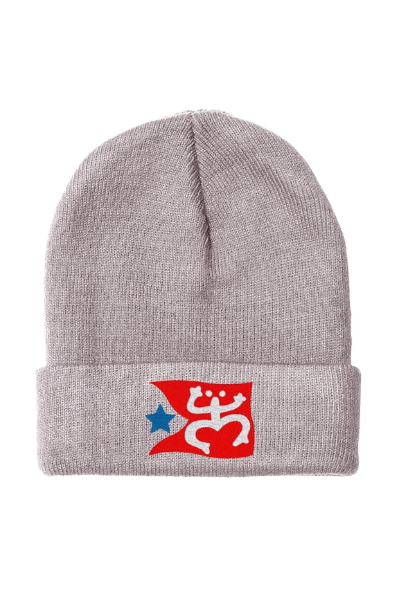 Embroidered Puerto Rican FLAG with Taino Frog Logo Hat-EM-0034-Gray