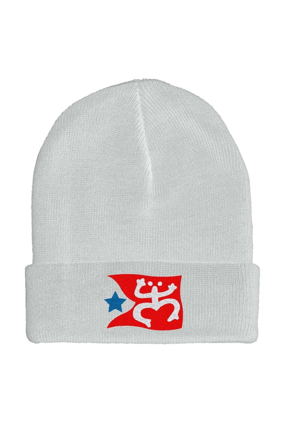 Embroidered Puerto Rican FLAG with Taino Frog Logo Hat-EM-0034-White