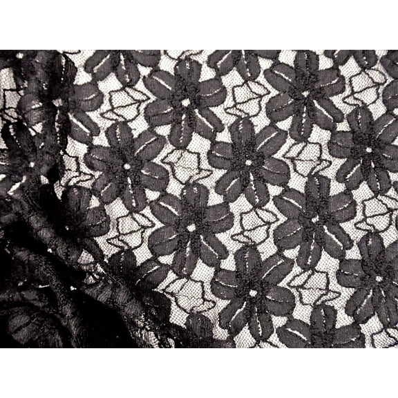 Embroidered Stretch Lace Apparel Fabric Sheer Floral Black GG503