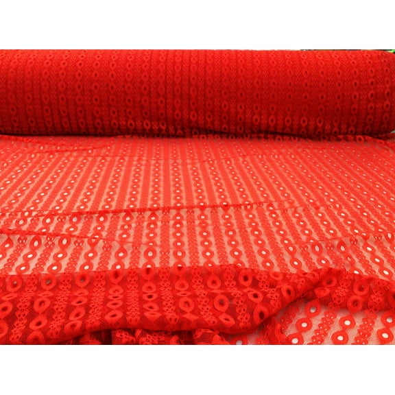 Embroidered Stretch Lace Apparel Fabric Sheer Red Striped Abstract XX314