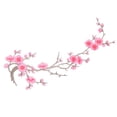 thumbnail image 1 of Embroidery Cherry Blossom Iron On Patches Plum Blossom Applique Patches Embroidered Patch Iron On Sew On Flowers Branches Vines for DIY Jeans Denim Clothes Dresses Skirt,J, 1 of 6