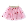 thumbnail image 1 of Embroidery Tulle Tutu Skirt With Heart Cherry Pineapple For Girls 1 10 Years Girls Skirts 3 Years-4 Years, 1 of 5
