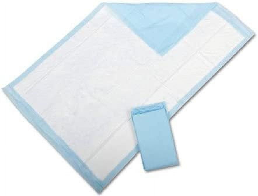 Emerald Disposable Underpads 23x24 Blue Large Multipurpose For Elderly, Pets50 Pack