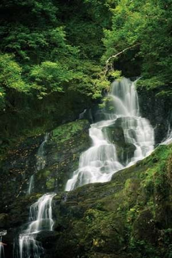 Emerald Falls I Canvas Art - Dennis Frates (24 x 36)