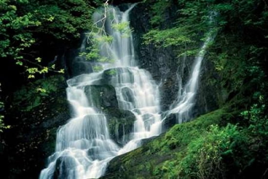 Emerald Falls II Canvas Art - Dennis Frates (12 x 18)