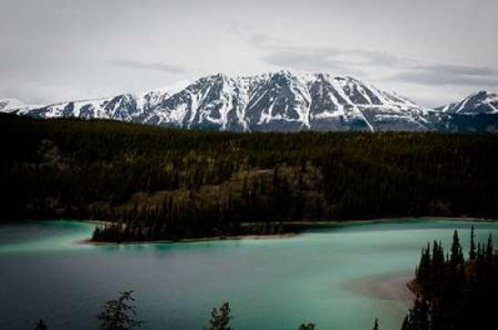 Emerald Lake Alaska Canvas Art - Beth Wold (20 x 28)
