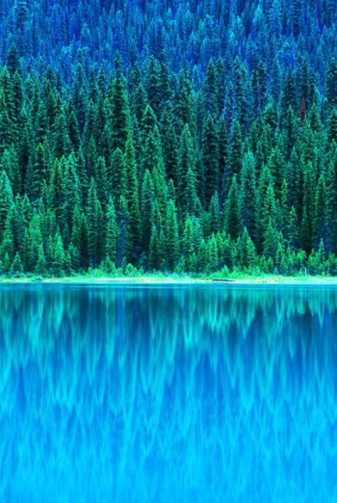 Emerald Lake Boathouse Yoho National Park British Columbia Canada (vertical) Canvas Art - Rob Tilley DanitaDelimont (24 x 36)