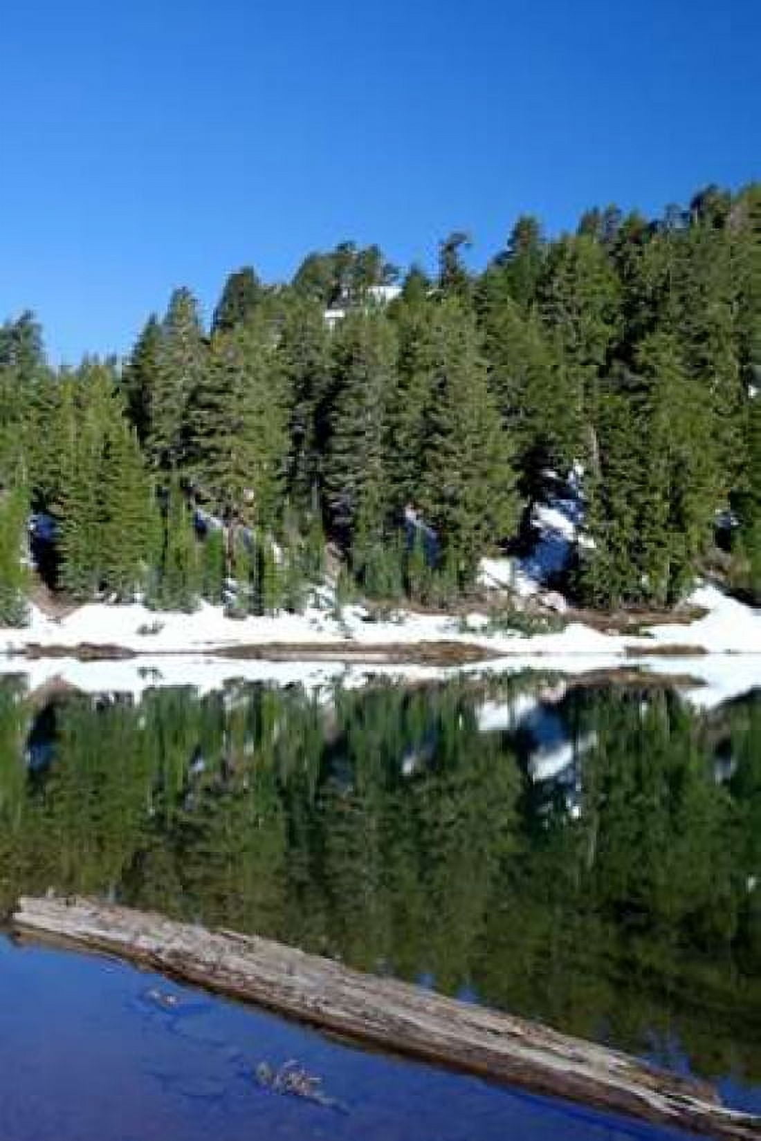 Emerald Lake Canvas Art - Douglas Taylor (24 x 36)