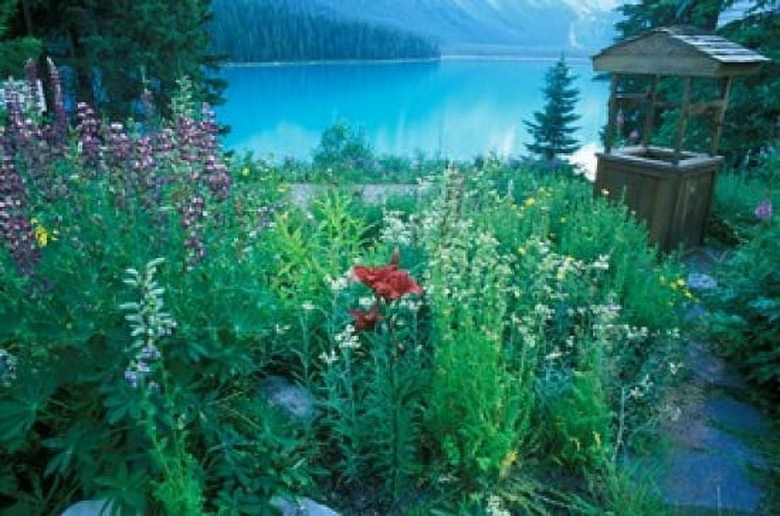 Emerald Lake Yoho National Park British Columbia Canvas Art - Rob Tilley DanitaDelimont (26 x 17)