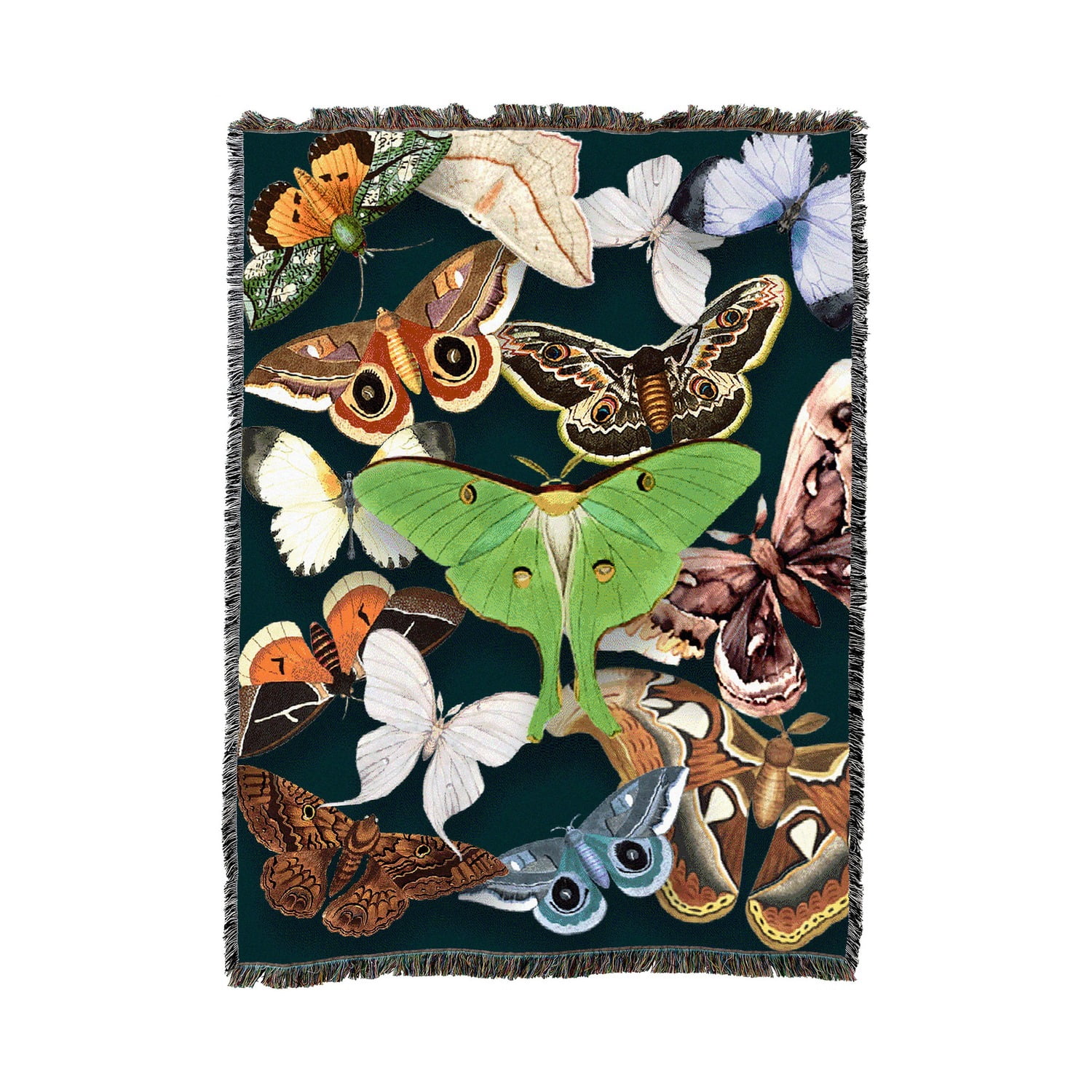 Insect Pattern Throw Emerald Moth Pattern Woven Throw Blanket, Cotton with Fringed Edges for ...