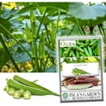 thumbnail image 1 of Emerald Okra Seeds for Planting, 50+ Heirloom Seeds Per Packet Non GMO Seeds, Botanical Name Abelmoschus esculentus, Great Home Garden Gift, 1 of 7