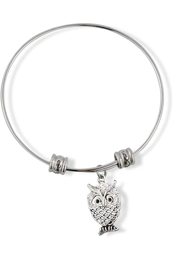 Owl Fancy Charm Bangle