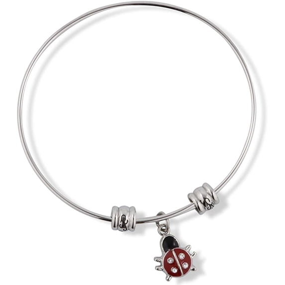 Emerald Park Jewelry Red Black Ladybug Fancy Charm Bangle