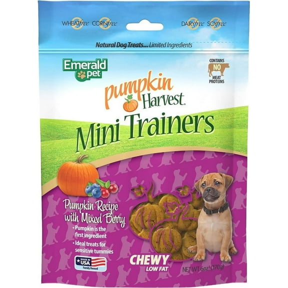 Emerald Pet Pumpkin Harvest Trainers Chewy Dog Tre